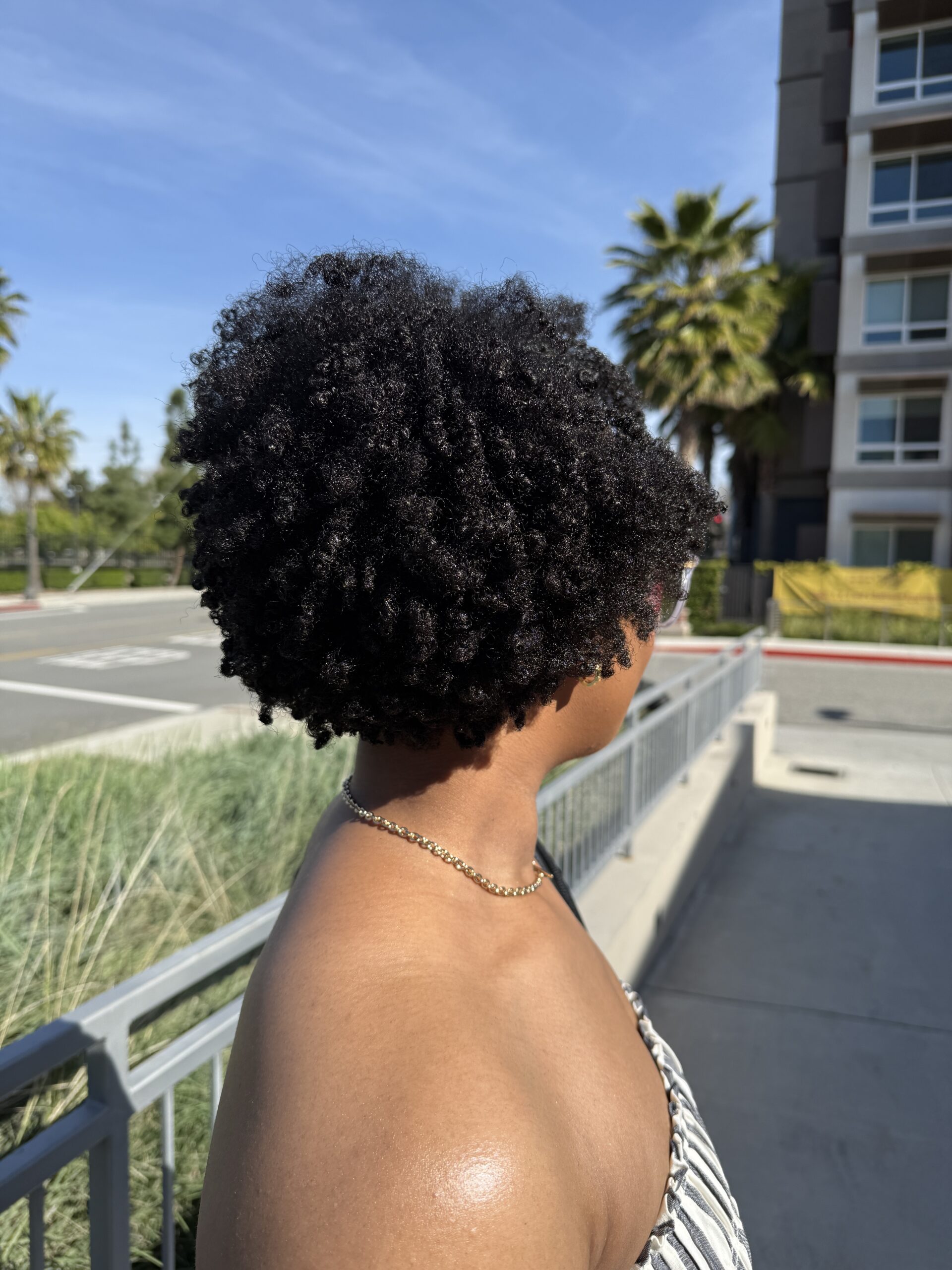 Wash n Go’s: The Silent Downfall of the Natural Hair Community